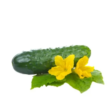 Професионални малки опаковки - Корнишони