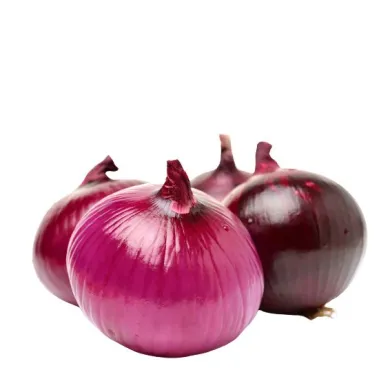 Лук