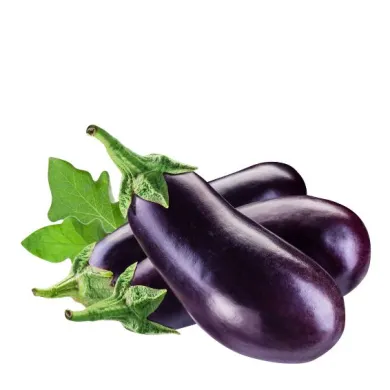 Патладжан