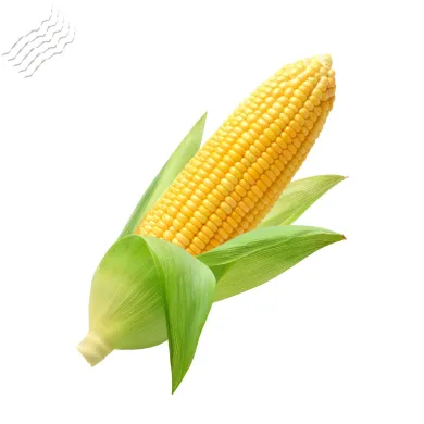 Сладка Царевица
