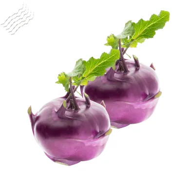 Алабаш