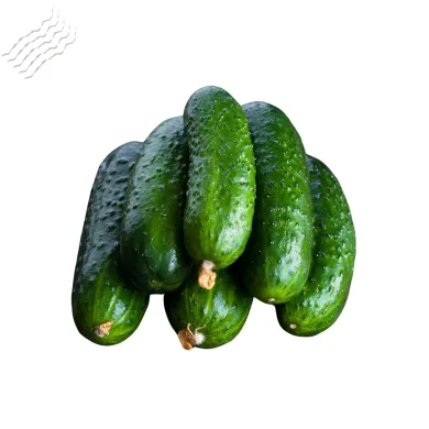 Корнишони
