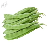 Зелен Фасул