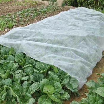 Зимно покривало за растения 30гр./м2 winter-spring,1.6 x 5m – бяло