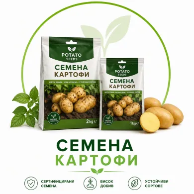 Семена за картофи