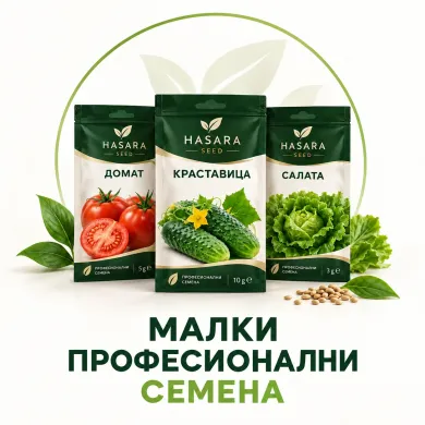 Малки професионални семена