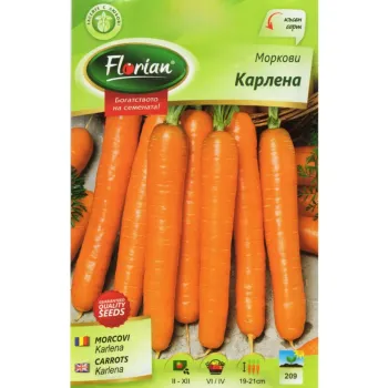 Моркови Карлена (Karlena) - Х