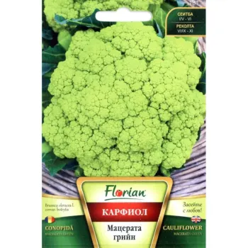 Карфиол Мацерата Грийн (Macerata Green) - X