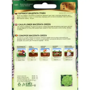 Карфиол Мацерата Грийн (Macerata Green) - X