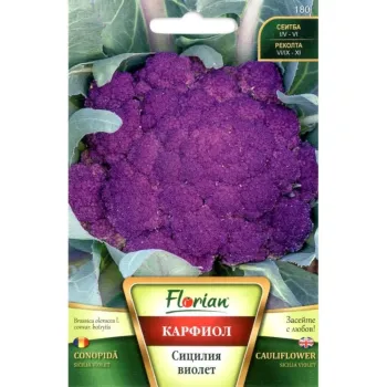 Карфиол Сицилия Виолет (Siciliq Violet) - X