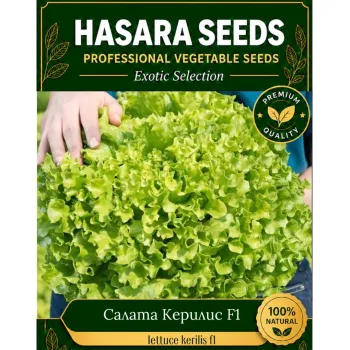 Салата Керилис F1 (Kerilis) - М