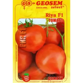 Домати РИЯ F1 (RIYA) - М