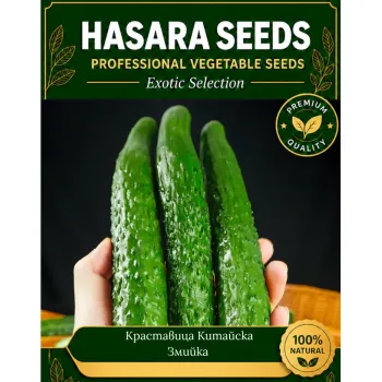 Краставица Китайска Змийка 