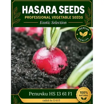 Репички HS 13 61 F1