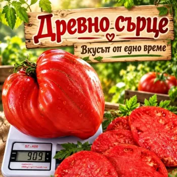 Промо пакет домати