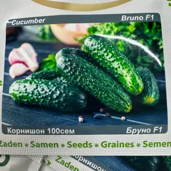 Корнишон Бруно F1 (Bruno) - X