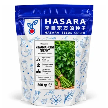 МАГДАНОЗ ИТАЛИАНСКИ ГИГАНТ (GEANT D'ITALIE)