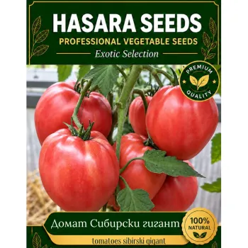 Домати Сибирский Гигант - М