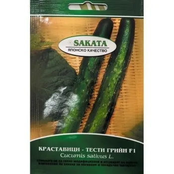 Краставици ТЕСТИ ГРИЙН F1(TESTI GREEN)