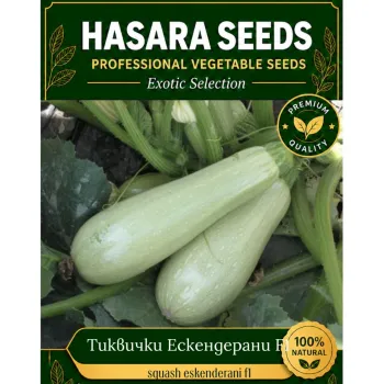 Тиквички ЕСКЕНДЕРАНИ F1 (ESKENDERANY) - М