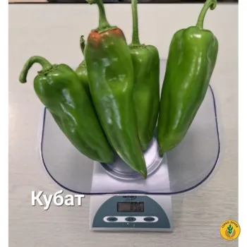 Пипер Кубат F1 / Kubat F1 /SVPP8761//