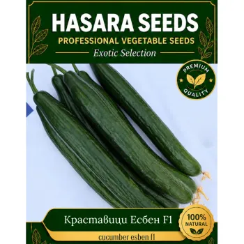 Краставици Есбен F1 (Esben) - М