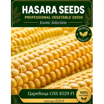 Царевица GSS 8529 F1 - М