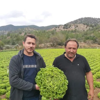 САЛАТА ФИЙОНК (Papyon)-М