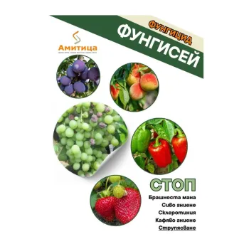 ФУНГИСЕЙ