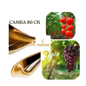 САМБА 80 СК