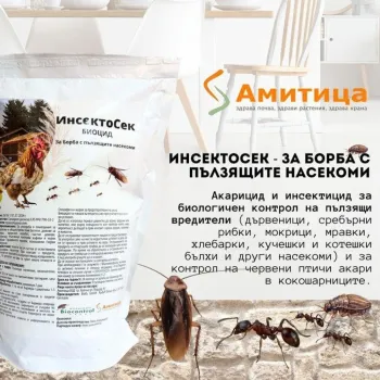 ИнсектоСек