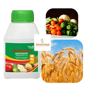 Азотохелп (Azotohelp)