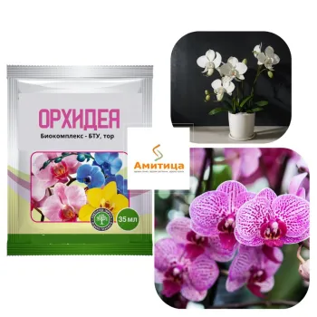 Биокомплекс Орхидея (Biocompleks orhideq)