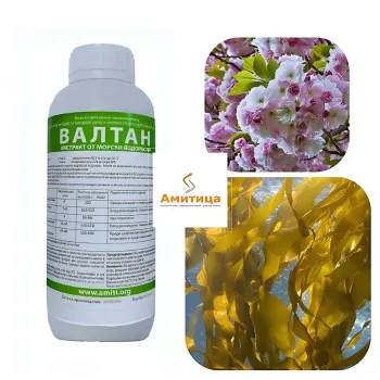 Валтан (Valtan)