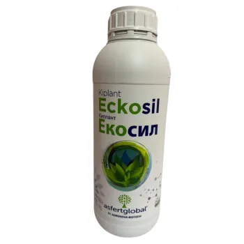 Екосил (Ecosil)