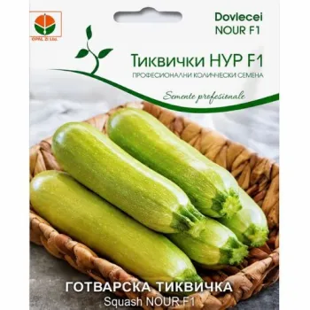 Тиквички Нур F1 (Nour F1) - Х