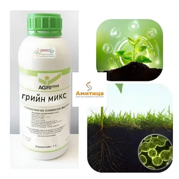 Грийн Микс (Green Mix)