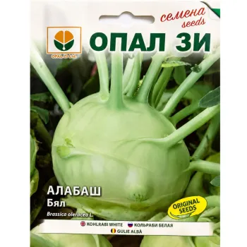 Алабаш Бял (Alabash) - Х