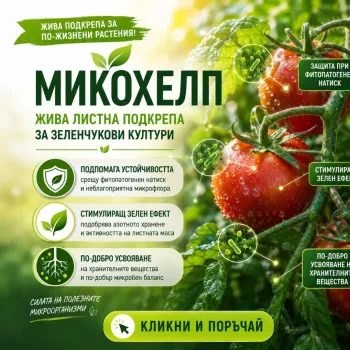 Микохелп (Micohelp)
