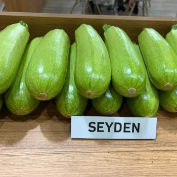 Тиквички СЕЙДЪН F1 (SEYDEN)
