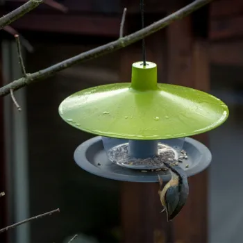 Хранилка за птици Finch зелена