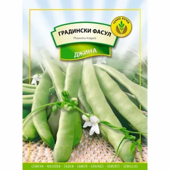 Фасул Джина (Gina)