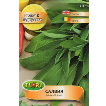 Салвия ( Salvia officinalis) - Х