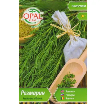 Розмарин (Rozmarin) - Х