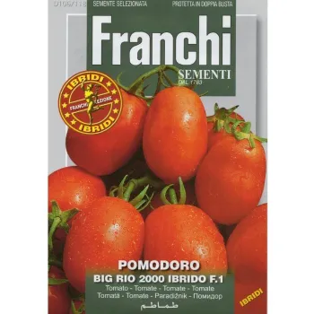 Домати Биг Рио 2000 F1 (Big rio 2000 F1) - Х