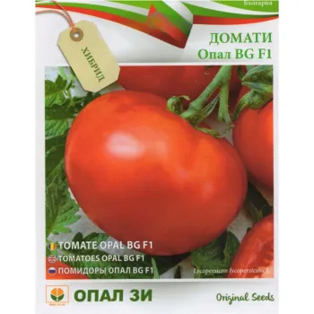 Домати Опал БГ F1 (Opal BG F1) - Х