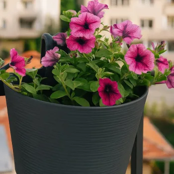 Саксия за балкон Donna 30cm