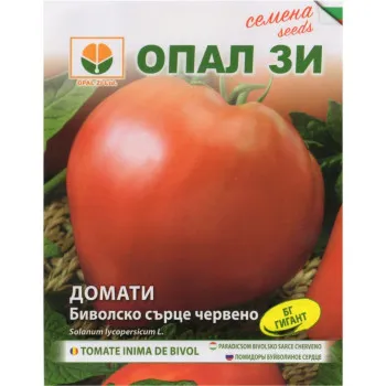 Домати Биволско сърце червено (Bivolsko surce cherveno) - Х