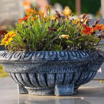 Саксия Тробентица