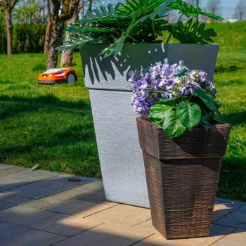 Саксия Квадро малкo, S